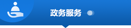 政务服务