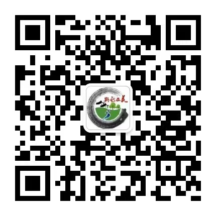 美在新兴（公众号/视频号）